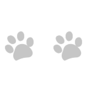 No image available